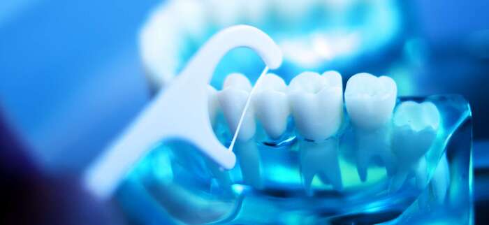 Zahntechnik München Dentallabor Citadelle Gebiss mit Zahnseide